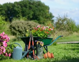 How to Develop a Customized Landscape Management Plan